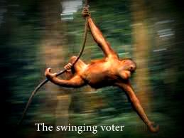 The swinging voter